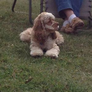 Meet your Posher, Heather